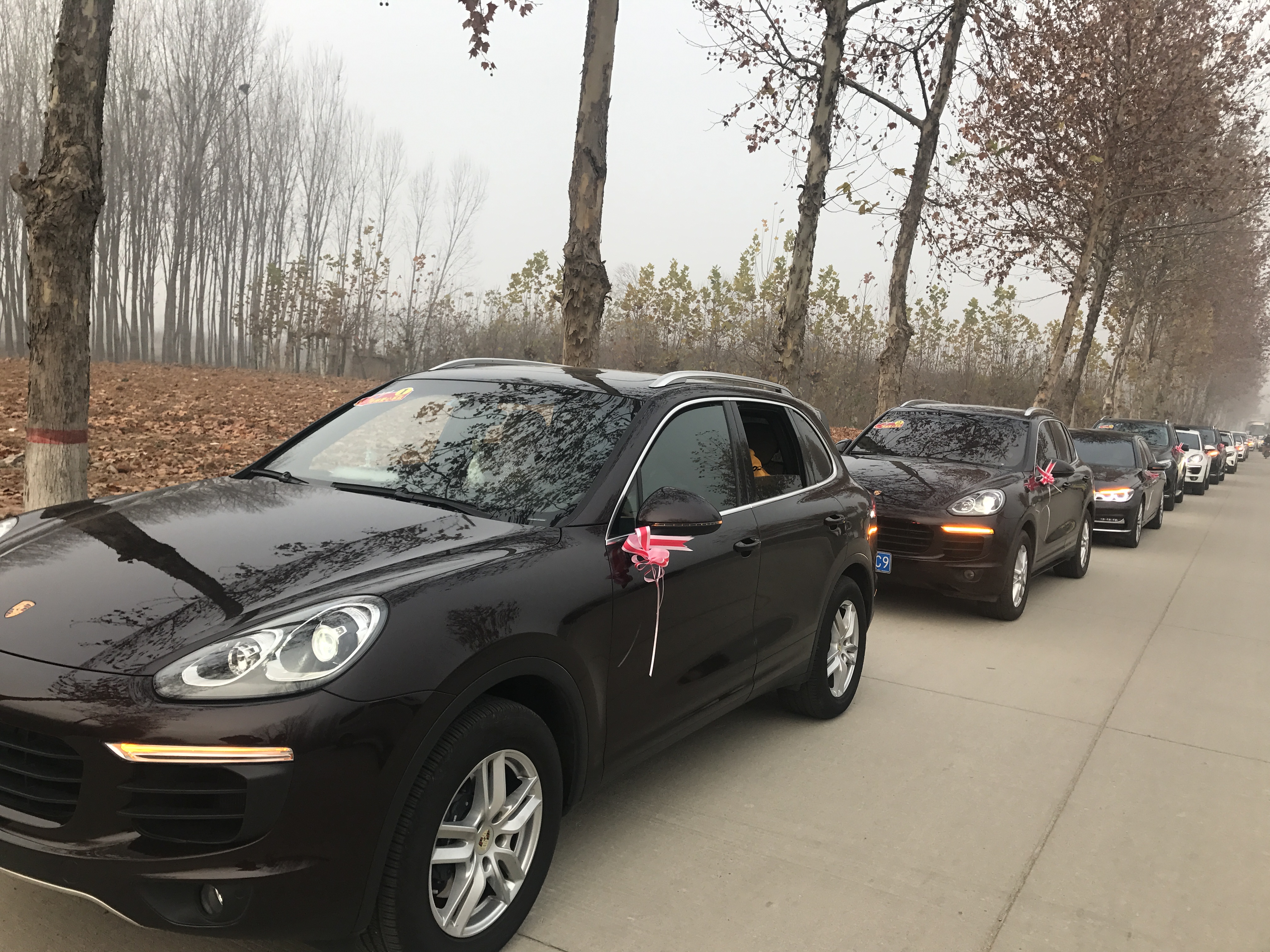 第183所 泰安市岱岳区良庄镇mk体育（mksports集团）股份公司李娜小学