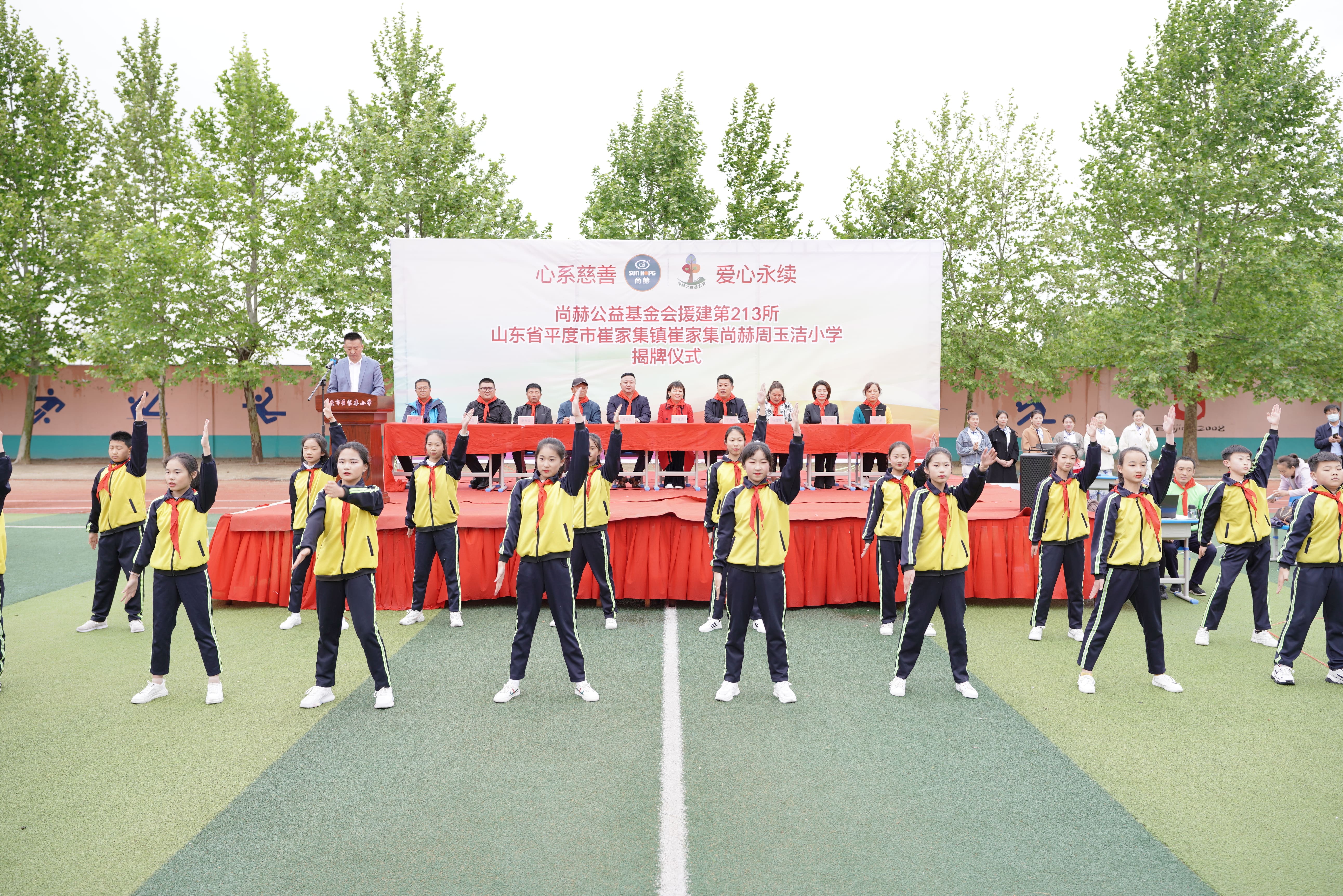 第213所 平度市崔家集镇崔家集mk体育（mksports集团）股份公司周玉洁小学