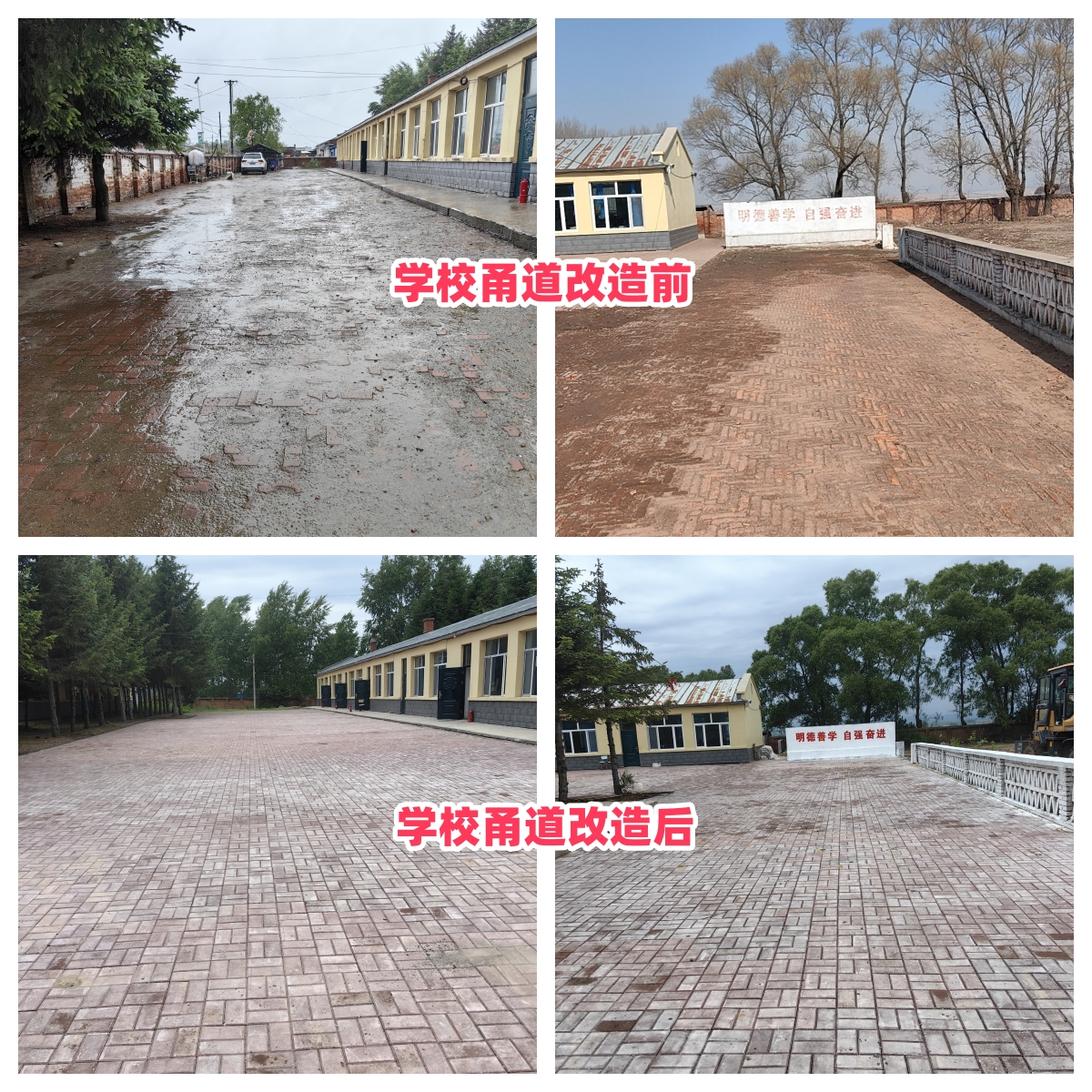 第254所 黑龙江巴彦县黑山镇民乐村mk体育（mksports集团）股份公司侯玉霞学校