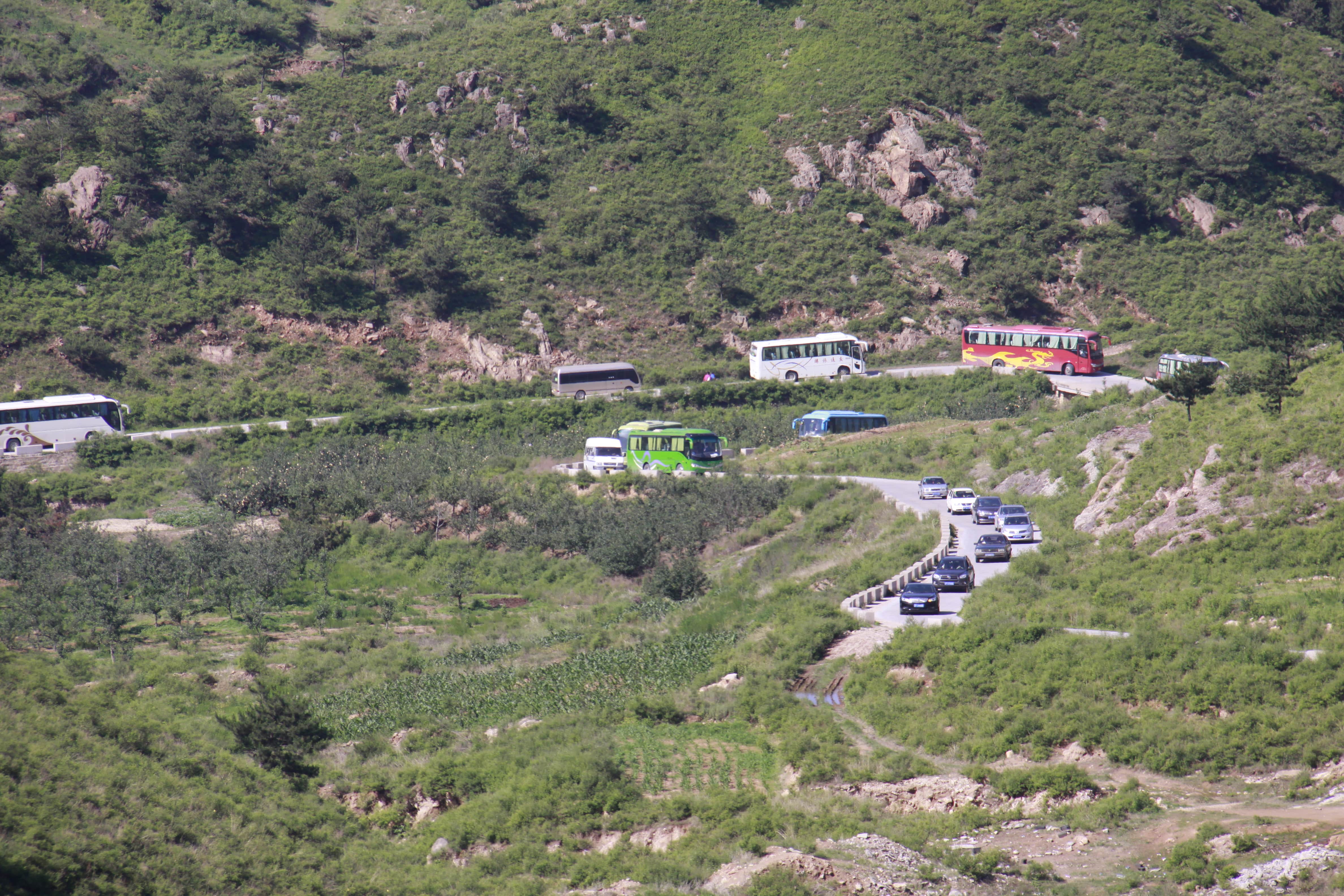 第26所 葫芦岛市永安堡乡mk体育(mksports集团)股份公司张越小学 第26所 葫芦岛市永安堡乡mk体育(mksports集团)股份公司张越小学