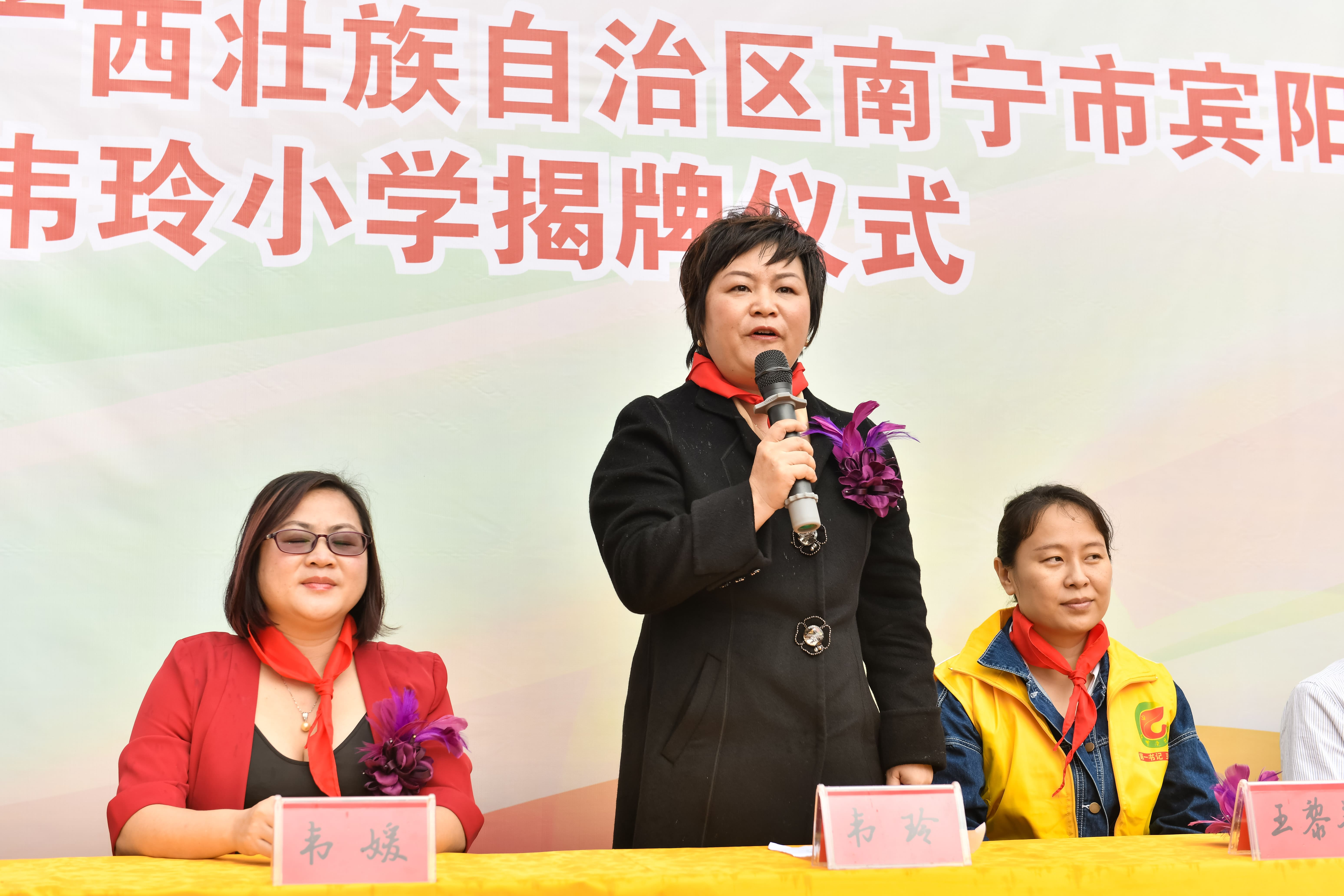 第184所  南宁市宾阳县思陇镇昆仑村mk体育（mksports集团）股份公司韦玲小学